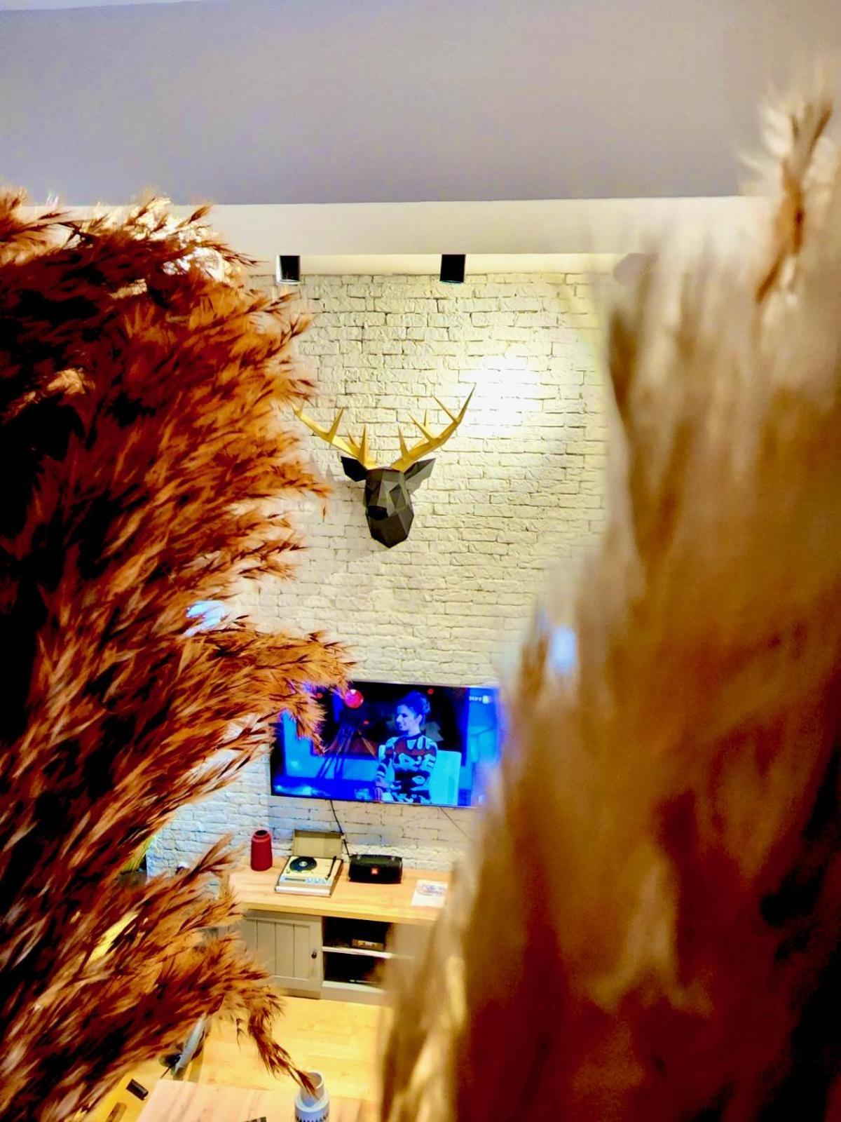 Lifestyle Gallery Apartment Skopje Bagian luar foto
